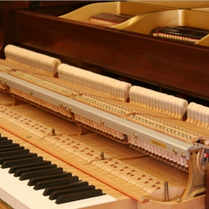 德国品质威尔赫怡钢琴为您浅析钢琴各部件作用及对音质影响
